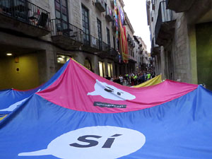 11 de setembre 2017. Assaig de la manifestaci&oacute; de la Diada al carrer Ciutadans i la pla&ccedil;a del Vi
