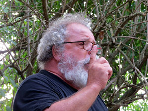 Festa Major de Sant Daniel 2017 - La font d'en Pericot. Explicaci&oacute; de la llegenda i ballada de la sardana