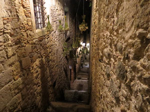 Nit dels Museus 2017. C&agrave;psules de cinema al Call, al Museu d'Hist&ograve;ria dels Jueus