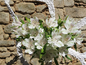 Temps de Flors 2017. Instal·lacions i muntatges florals darrere dels absis de Sant Pere de Galligants