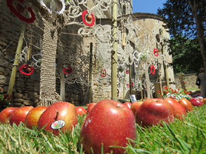 Temps de Flors 2017. Instal·lacions i muntatges florals darrere dels absis de Sant Pere de Galligants