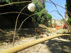 Temps de Flors 2017. Instal·lacions i muntatges florals darrere dels absis de Sant Pere de Galligants