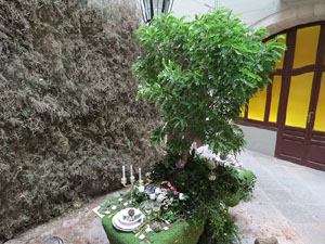 Temps de Flors 2017. Muntatges, instal&middot;lacions i exposicions florals a diversos espais del carrer Albareda