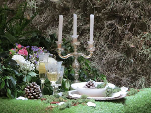 Temps de Flors 2017. Muntatges, instal&middot;lacions i exposicions florals a diversos espais del carrer Albareda