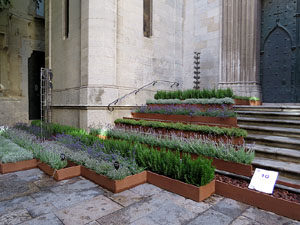 Temps de Flors 2017. Muntatges, instal&middot;lacions i exposicions florals a diversos espais del carrer Albareda