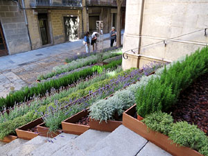 Temps de Flors 2017. Muntatges, instal&middot;lacions i exposicions florals a diversos espais del carrer Albareda