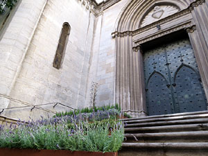 Temps de Flors 2017. Muntatges, instal&middot;lacions i exposicions florals a diversos espais del carrer Albareda