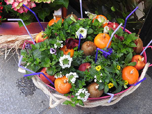 Temps de Flors 2017. Instal&middot;lacions i muntatges florals al carrer Ballesteries