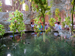 Temps de Flors 2017. Decoracions florals als diversos espais dels Banys Àrabs