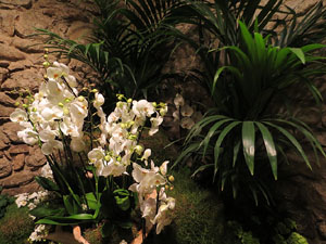 Temps de Flors 2017. Decoracions florals als diversos espais dels Banys Àrabs