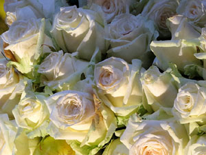 Temps de Flors 2017. Decoracions florals als diversos espais dels Banys Àrabs