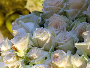 Temps de Flors 2017. Decoracions florals als diversos espais dels Banys Àrabs