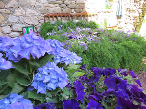 Temps de Flors 2017. Decoracions florals als diversos espais dels Banys Àrabs