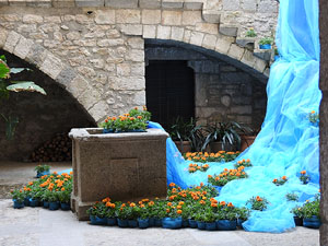 Temps de Flors 2017. Instal·lacions i muntatges florals al pati de la Casa Boadas Formiga
