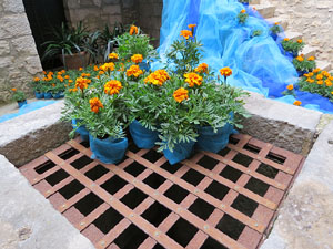 Temps de Flors 2017. Instal·lacions i muntatges florals al pati de la Casa Boadas Formiga