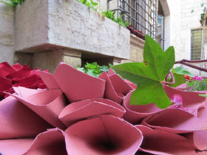 Temps de Flors 2017. Muntatges florals al espais de Caixaf&ograve;rum, a l'edifici de la Fontana d'Or