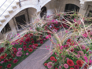 Temps de Flors 2017. Muntatges florals al espais de Caixaf&ograve;rum, a l'edifici de la Fontana d'Or
