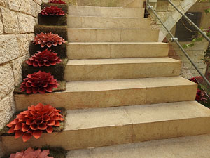 Temps de Flors 2017. Muntatges florals al espais de Caixaf&ograve;rum, a l'edifici de la Fontana d'Or