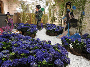 Temps de Flors 2017. Instal&middot;laci&oacute; 'El rac&oacute; de les geishes' a la Cambra de la Propietat Urbana