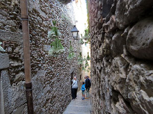 Temps de Flors 2017. Instal&middot;lacions i muntatges als espais del carrer de la  For&ccedil;a, el de Sant Lloren&ccedil;, carrer doctor Oliva i Prat, i pujada de la Font de la Pera