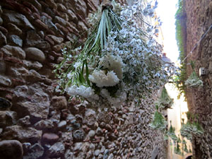 Temps de Flors 2017. Instal&middot;lacions i muntatges als espais del carrer de la  For&ccedil;a, el de Sant Lloren&ccedil;, carrer doctor Oliva i Prat, i pujada de la Font de la Pera