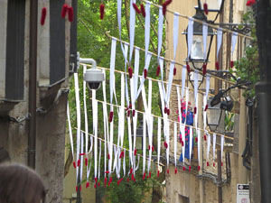 Temps de Flors 2017. Instal&middot;lacions i muntatges als espais del carrer de la  For&ccedil;a, el de Sant Lloren&ccedil;, carrer doctor Oliva i Prat, i pujada de la Font de la Pera