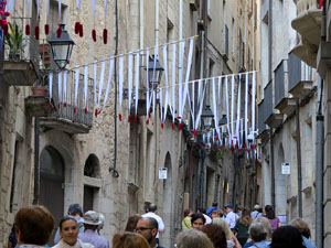 Temps de Flors 2017. Instal&middot;lacions i muntatges als espais del carrer de la  For&ccedil;a, el de Sant Lloren&ccedil;, carrer doctor Oliva i Prat, i pujada de la Font de la Pera