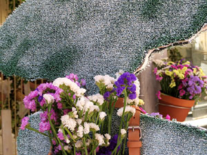 Temps de Flors 2017. Instal&middot;lacions i muntatges als espais del carrer Mercaders