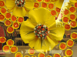 Temps de Flors 2017. Instal&middot;lacions i muntatges als espais del carrer Nou