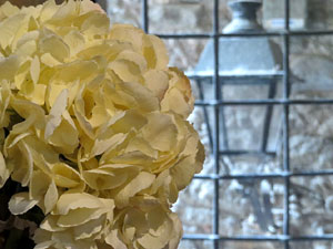 Temps de Flors 2017. Instal&middot;lacions i muntatges florals als diversos espais de la Casa Laporta-C&uacute;ndaro