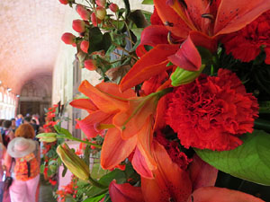 Temps de Flors 2017. Muntatges florals als claustres de la Catedral