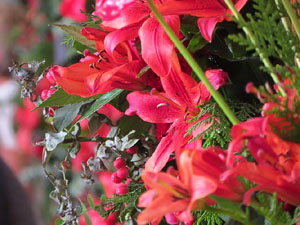 Temps de Flors 2017. Muntatges florals als claustres de la Catedral