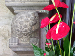 Temps de Flors 2017. Muntatges florals als claustres de la Catedral