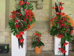 Temps de Flors 2017. Muntatges florals als claustres de la Catedral