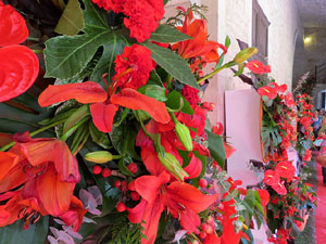 Temps de Flors 2017. Muntatges florals als claustres de la Catedral