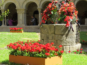 Temps de Flors 2017. Muntatges florals als claustres de la Catedral