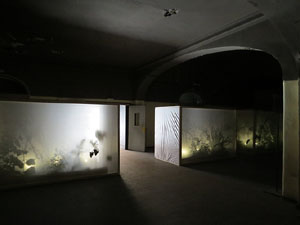 Temps de Flors 2017. Instal·lacions i muntatges florals a l'antic cinema Modern