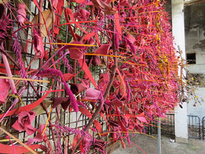 Temps de Flors 2017. Instal·lacions i muntatges florals a l'antic cinema Modern