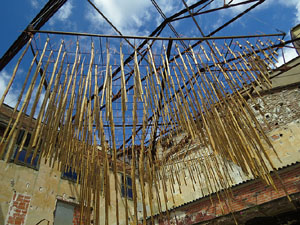 Temps de Flors 2017. Instal·lacions i muntatges florals a l'antic cinema Modern