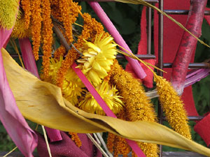 Temps de Flors 2017. Instal·lacions i muntatges florals a l'antic cinema Modern