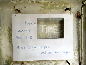 Temps de Flors 2017. Instal·lacions i muntatges florals a l'antic cinema Modern