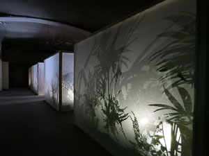 Temps de Flors 2017. Instal·lacions i muntatges florals a l'antic cinema Modern