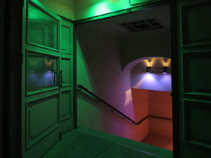 Temps de Flors 2017. Instal·lacions i muntatges florals a l'antic cinema Modern