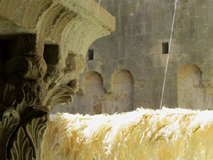 Temps de Flors 2017. Muntatges florals al claustre de Sant Pere de Galligants