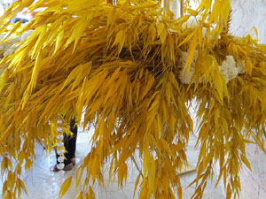 Temps de Flors 2017. Muntatges florals al claustre de Sant Pere de Galligants