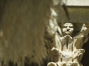 Temps de Flors 2017. Muntatges florals al claustre de Sant Pere de Galligants