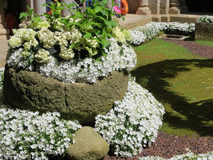 Temps de Flors 2017. Muntatges florals al claustre de Sant Pere de Galligants