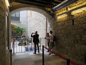 Temps de Flors 2017. Muntatges, instal&middot;lacions i exposicions florals a diversos indrets