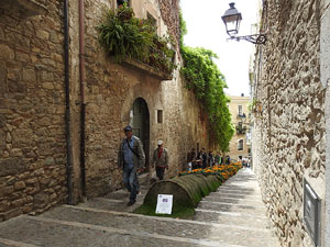 Temps de Flors 2017. Muntatges, instal&middot;lacions i exposicions florals a diversos indrets