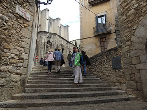 Temps de Flors 2017. Muntatges, instal&middot;lacions i exposicions florals a diversos indrets